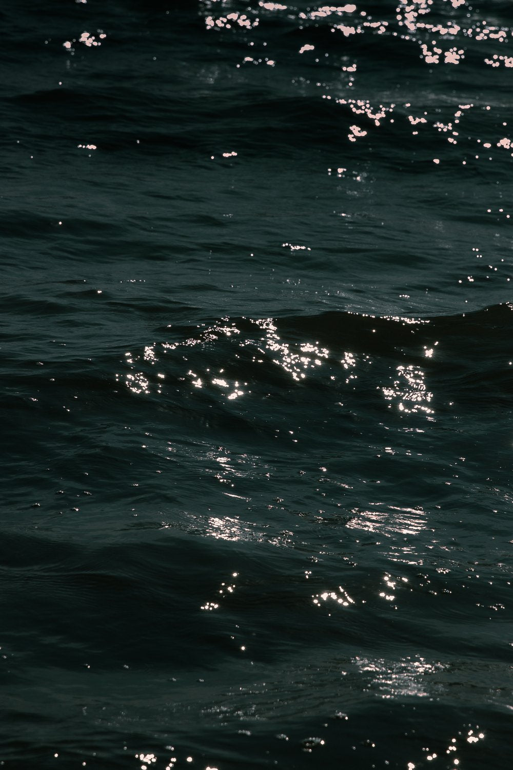 Interview with Dorothée Thomson