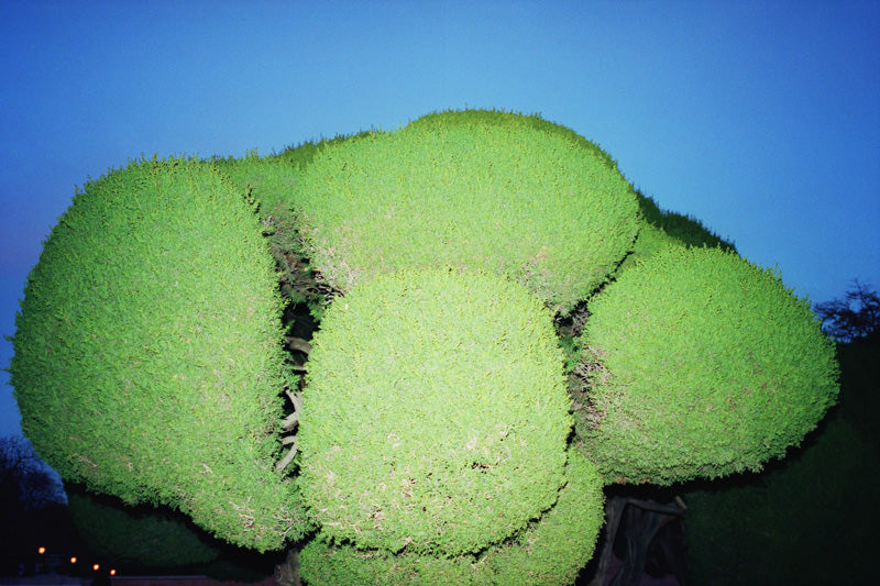 Sibonei-a-woman-with-blue-eyes-in-calm-sea