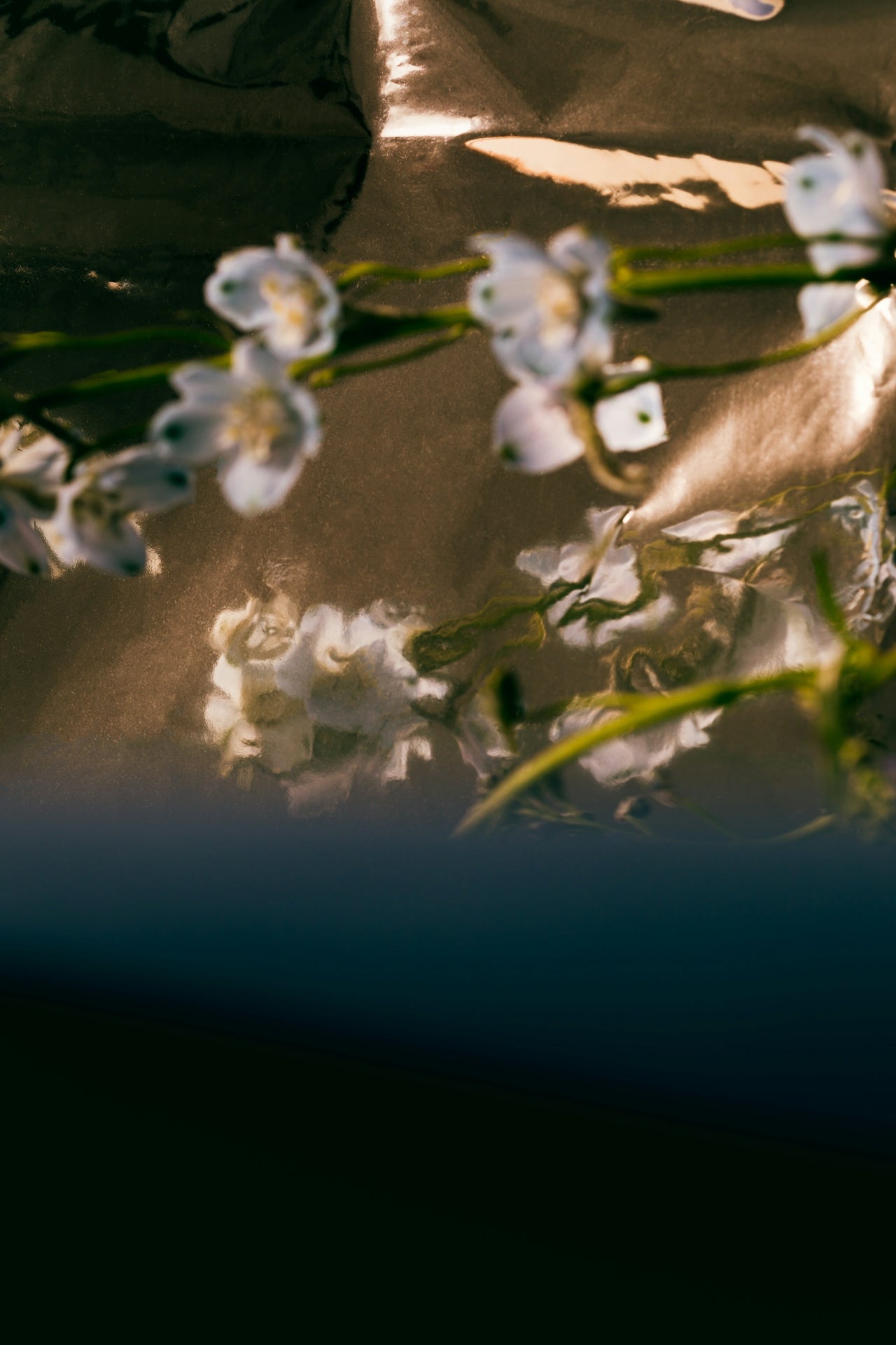 Adolescence (Néroli) - SIBONEI