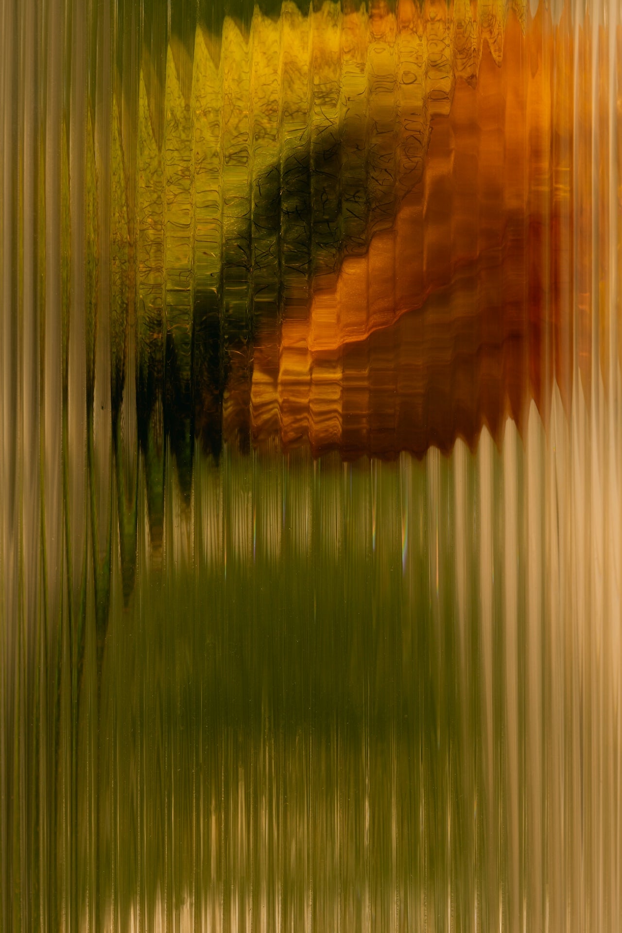 Hypnagogia (Safran) - SIBONEI