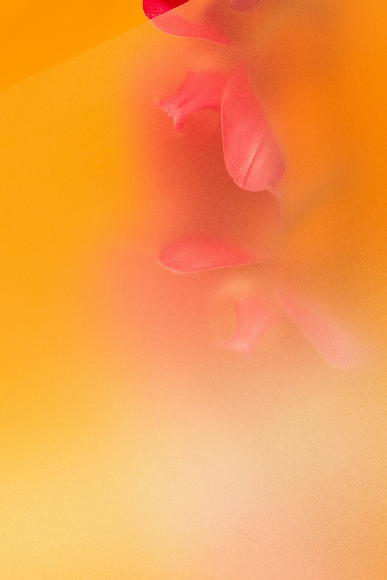 Sibonei gift card - SIBONEI