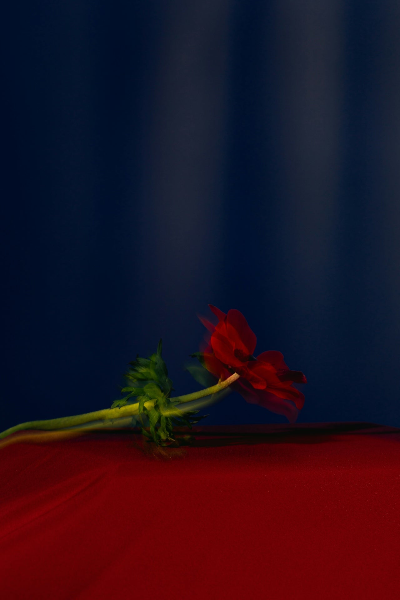 Dance Olfactic (Oud) - SIBONEI