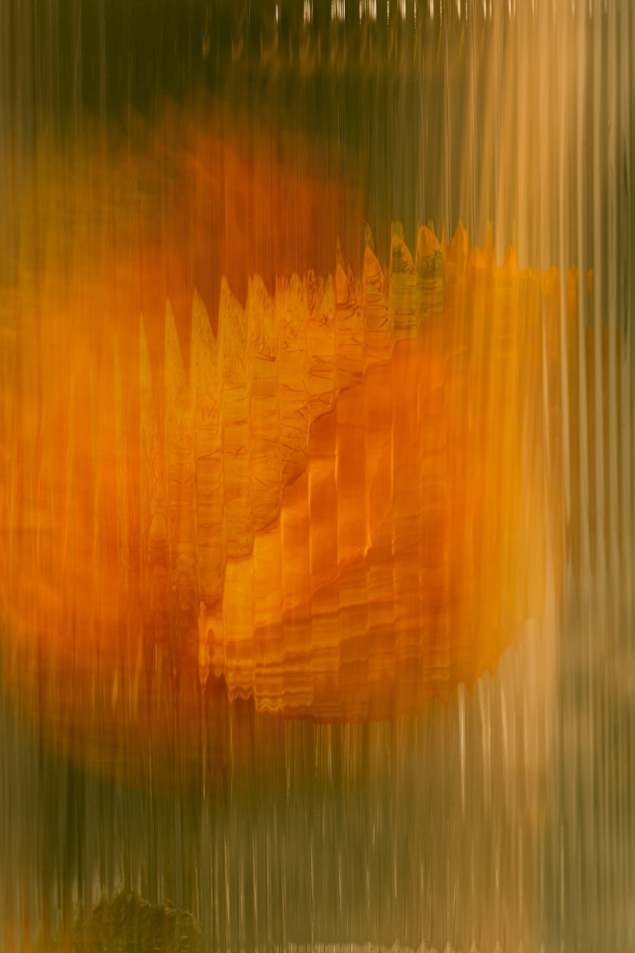 Sver (Mandarine) - SIBONEI